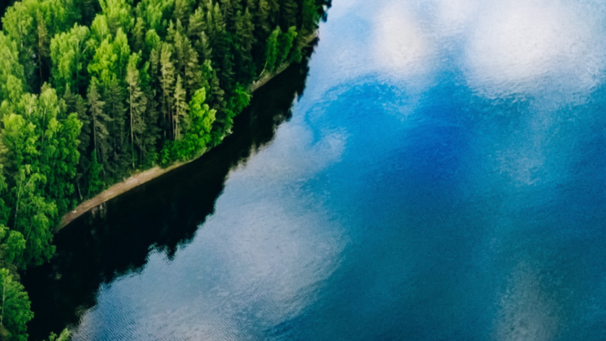 Järvimaisema, jossa näkyy rantaviivaa ja vihreitä puita